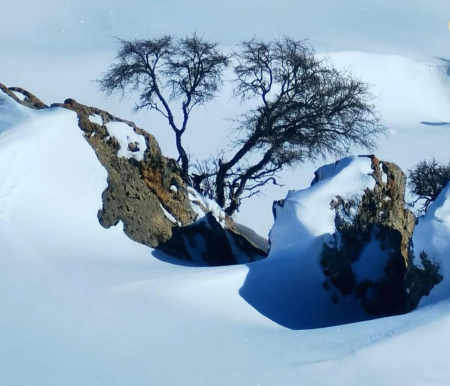 南京博物馆文物失踪事件警示了什么南京博物院文物失踪事件最少给我们以下警示：一是对