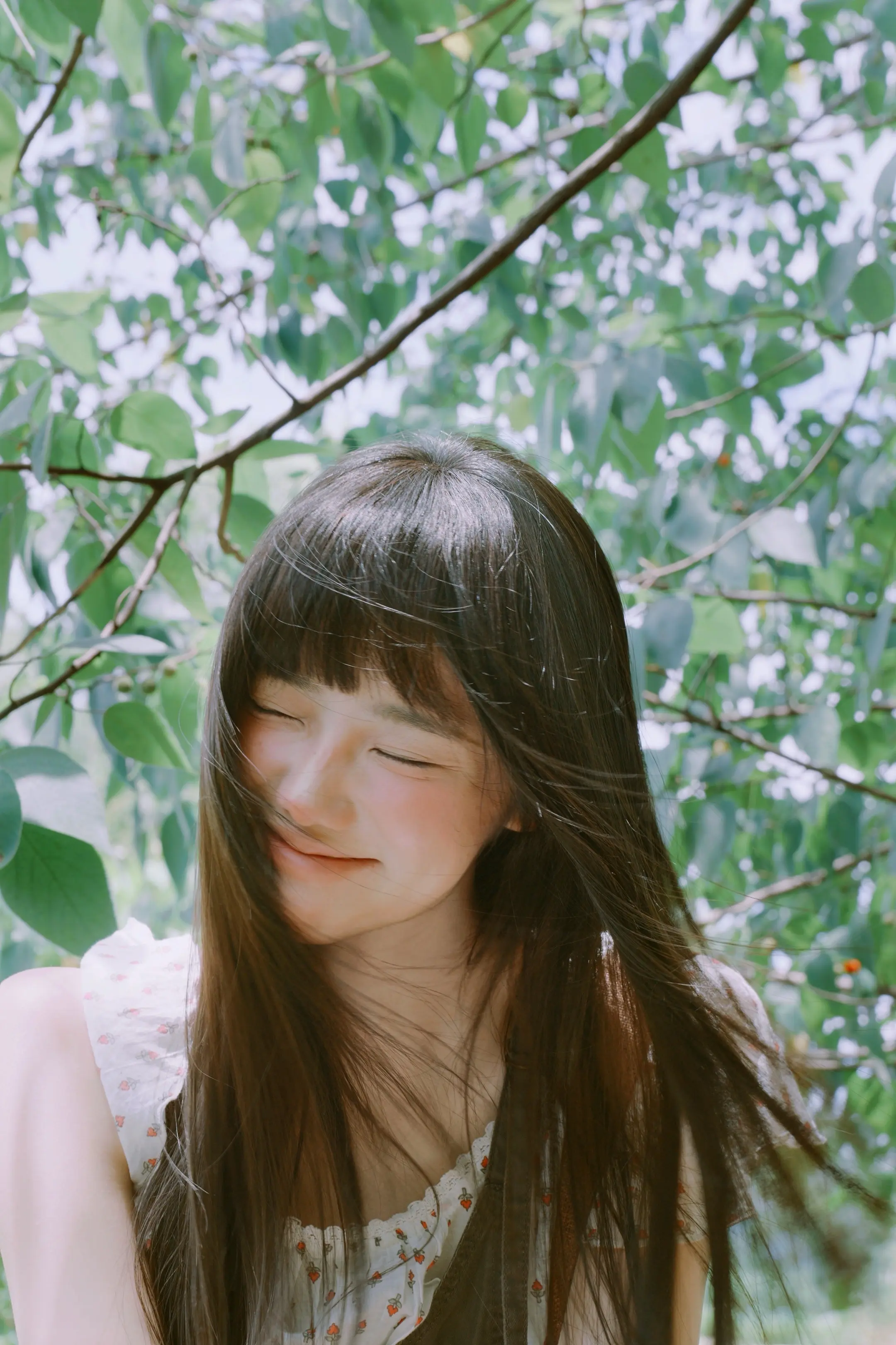 芳草地