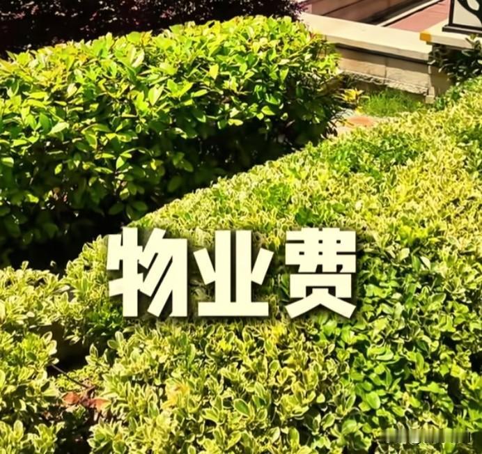 今天，收到物业公司发来的信息，看了很生气。
       信息是这样的：你的房产