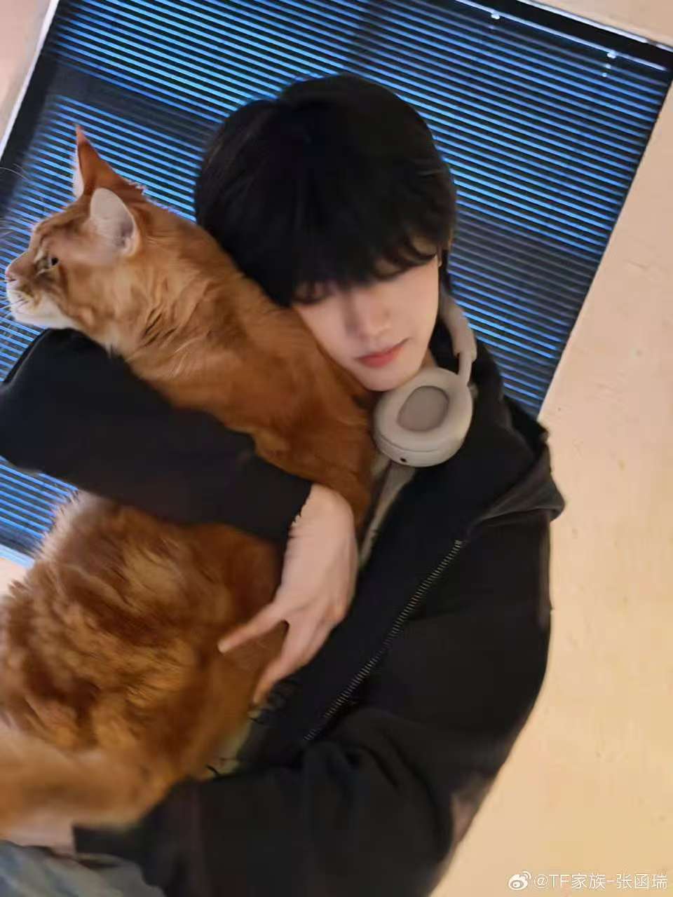 张函瑞遇到了超级喜欢的猫 张函瑞手里的棉花娃娃 张函瑞遇到了超级喜欢的猫~ 