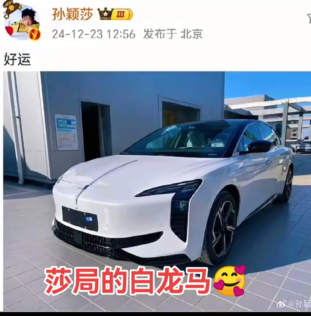 小太阳孙颖莎的白龙马 太酷了，愿好运都给到小莎☺️