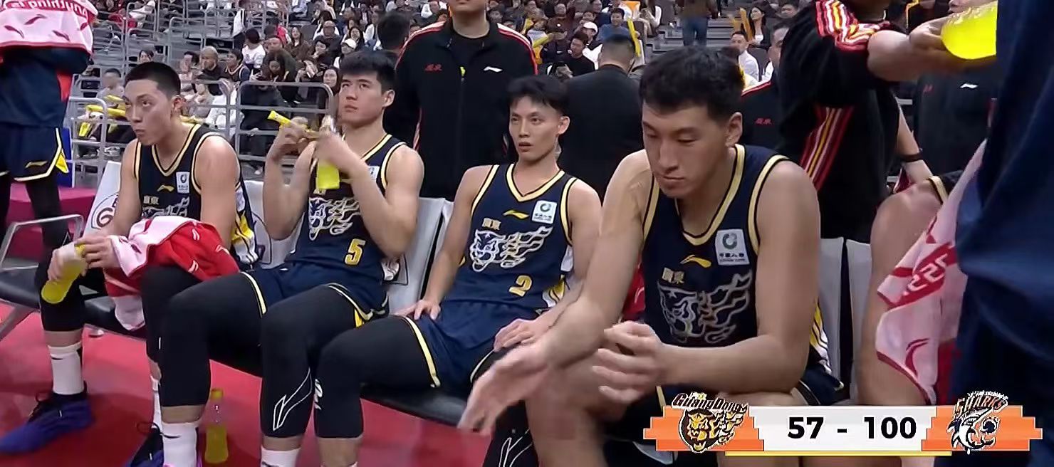 上海大鲨鱼，牛逼 