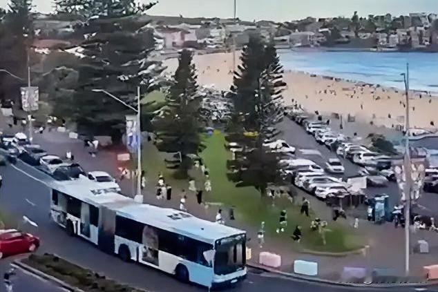 12月14日晚上的最新消息速报，全都不容错过，第四条：悉尼海滩枪击惨案：枪手扫射