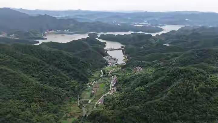 7月正值鲜玉米集中上市，杭州市场价格按渠道、品种差异明显，分三档行情。

大宗产