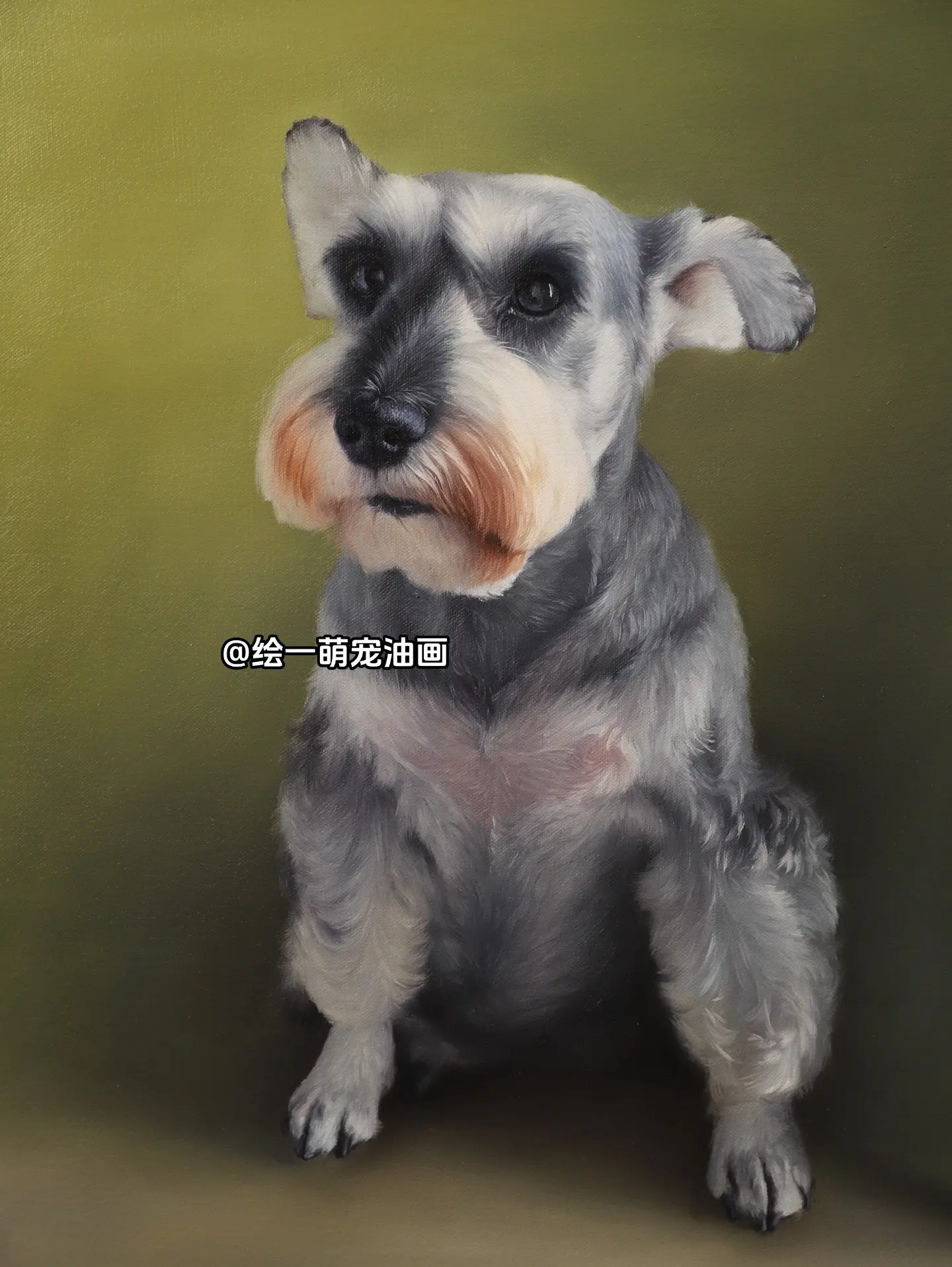 “妹妹”的第二幅宠物定制油画像。还记得2019年12月“妹妹”铲屎官刚...