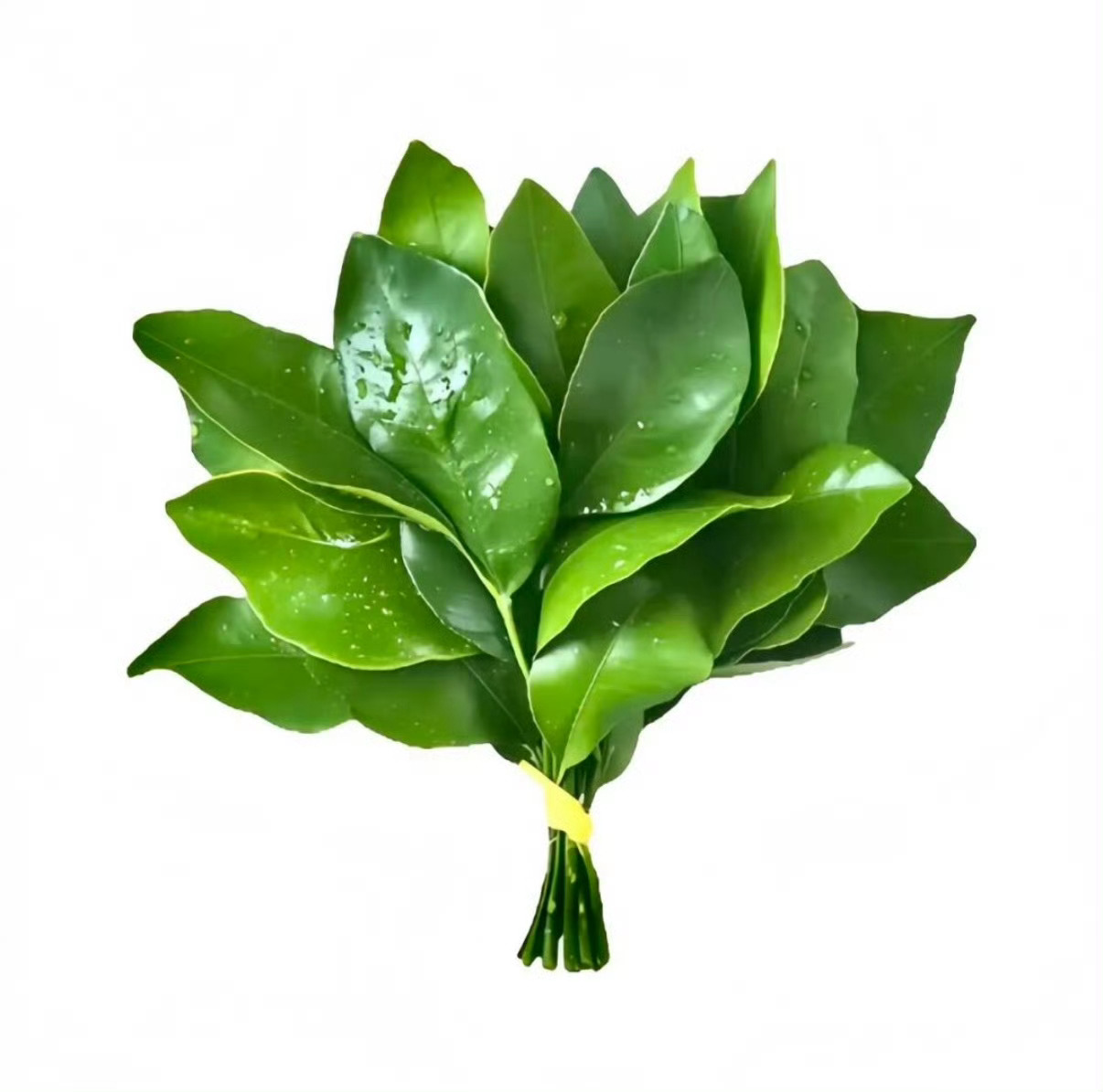 送给你们[心] ​​​