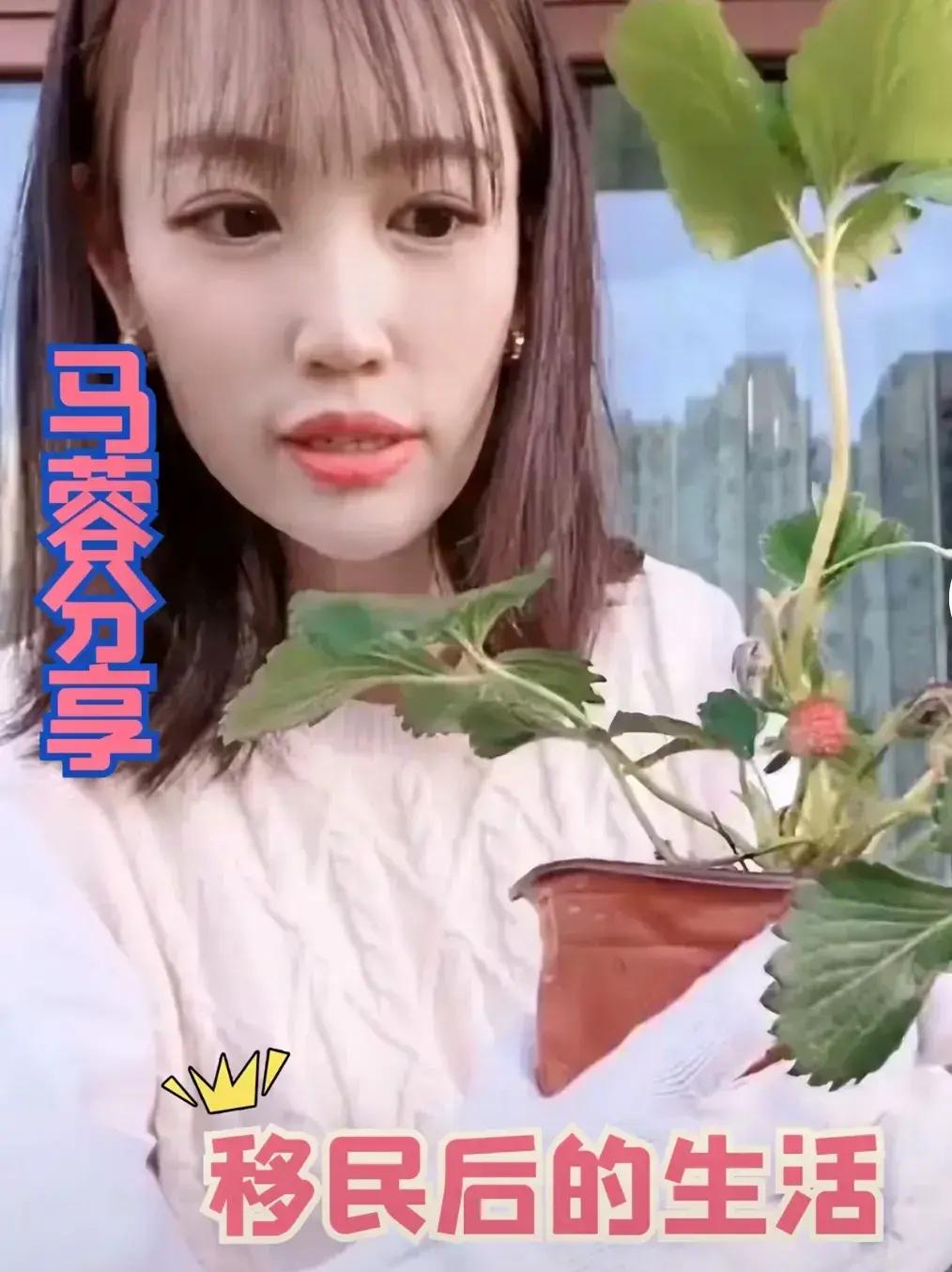 最近，社交平台上一组照片引起了网友的热议。照片里的主角是曾经备受关注的马蓉，可眼