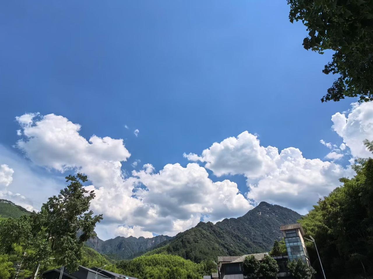 随手拍一张你所在城市的蓝天景色仰头