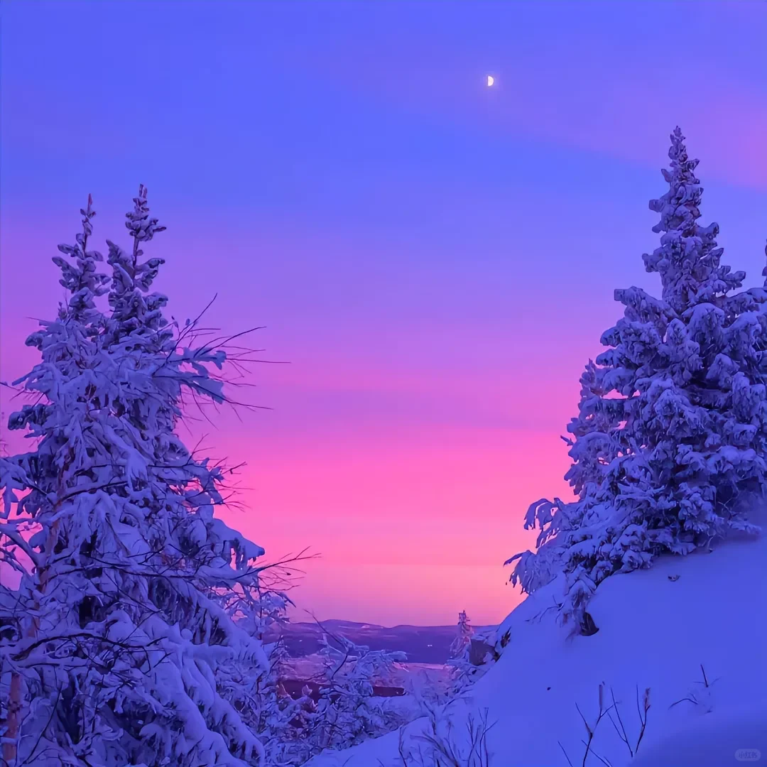 冬天雪景壁纸 好看的背景图 绝美背景图 雪上落日收藏家 雪地里的浪漫