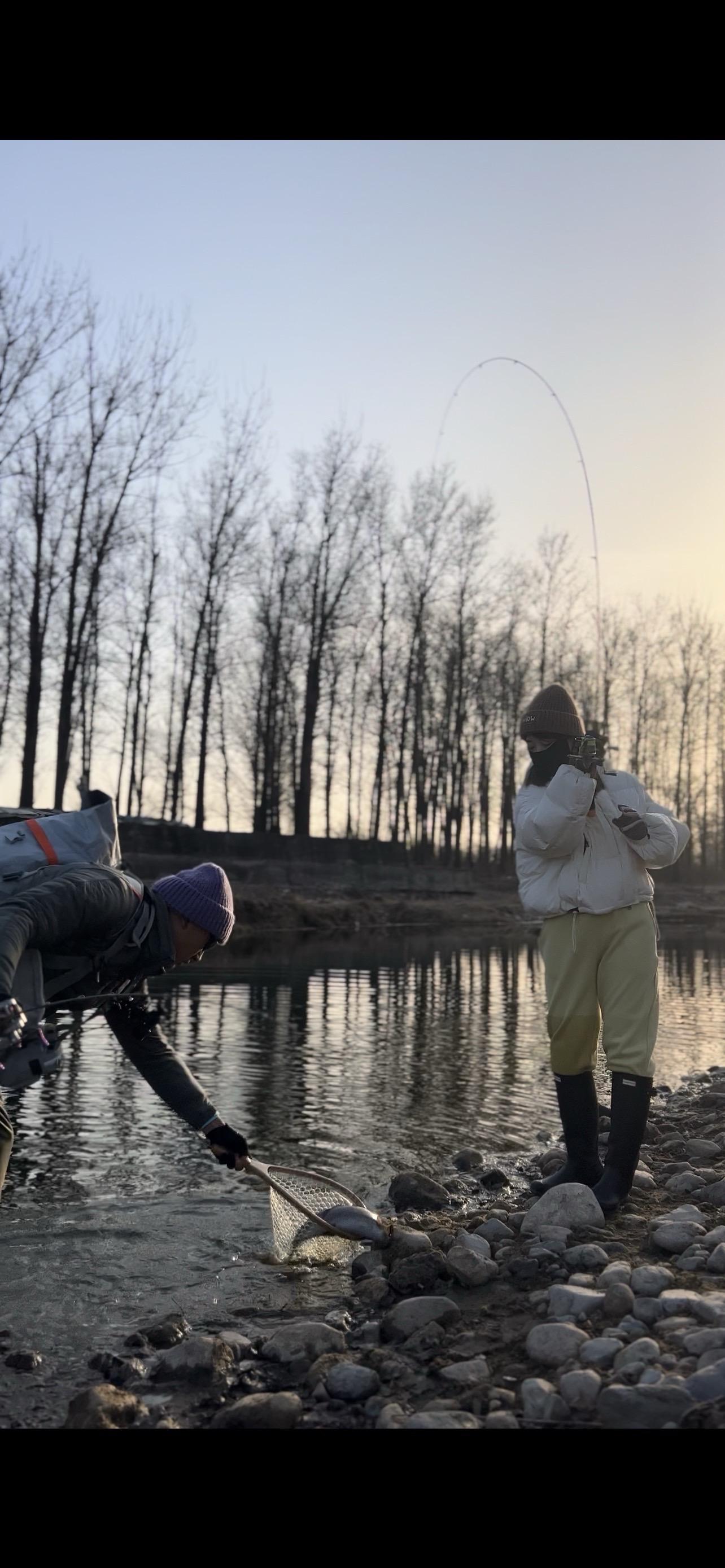 桑拿天，来点凉快的。