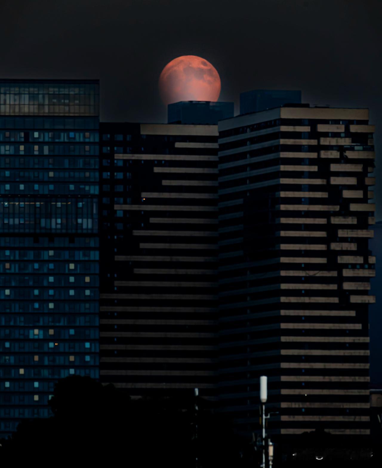 再来看一次八月十五的超级红月亮[酷]