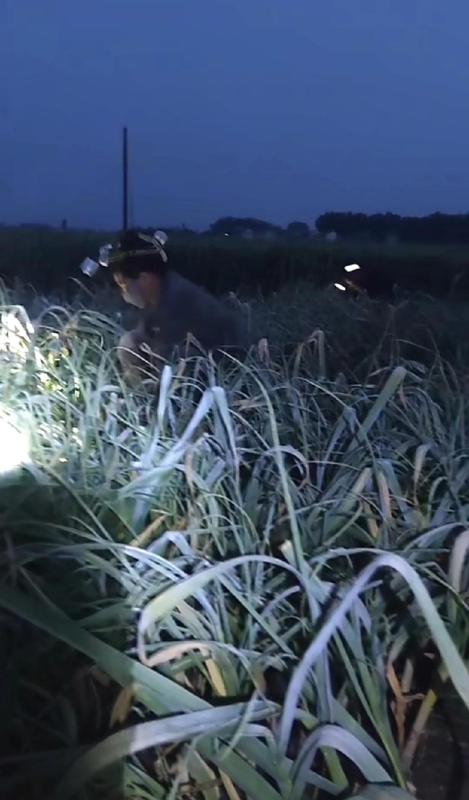 晚上清理手上的伤口，老公问疼不疼？我吹了吹伤口没说话，他说：你胆真大，都不知道大