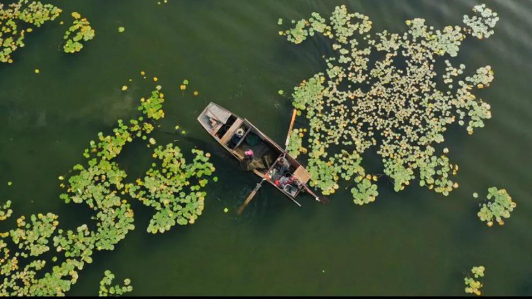 #新疆博湖：螃蟹养殖迎来好“丰”景#
 
在新疆博湖，一片独特而充满生机的好风景