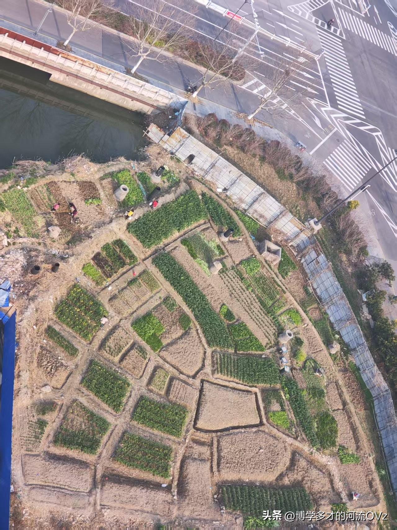 今天是金碧物业走后的第142天，大明物业的第50天。

这几天充电桩问题被有些业