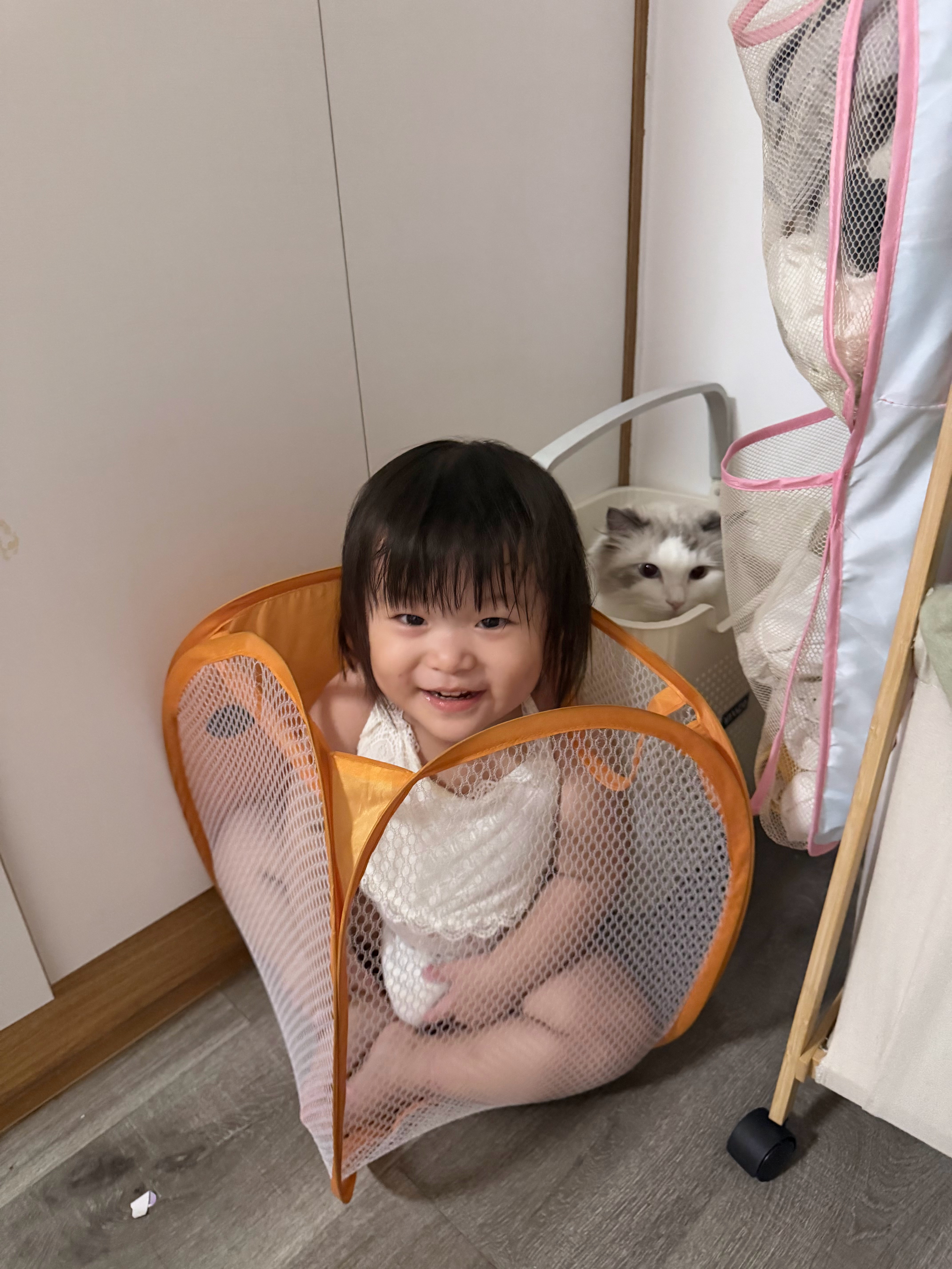 枣睡了 结束猫飞枣跳家里全是孩子的一天[开学季]和老公打王者去也 慈母守中线！ 