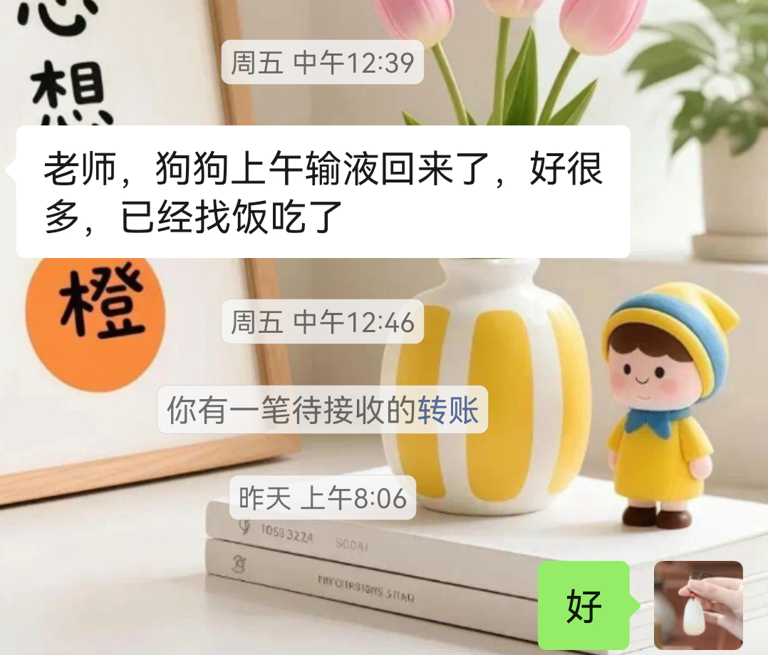 利用物象通关处理，生病的狗转好了。 