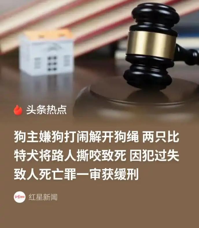 别再被欧洲高温的热搜占满注意力了。比起远在天边的极端天气，国内屡禁不止的狗患，才