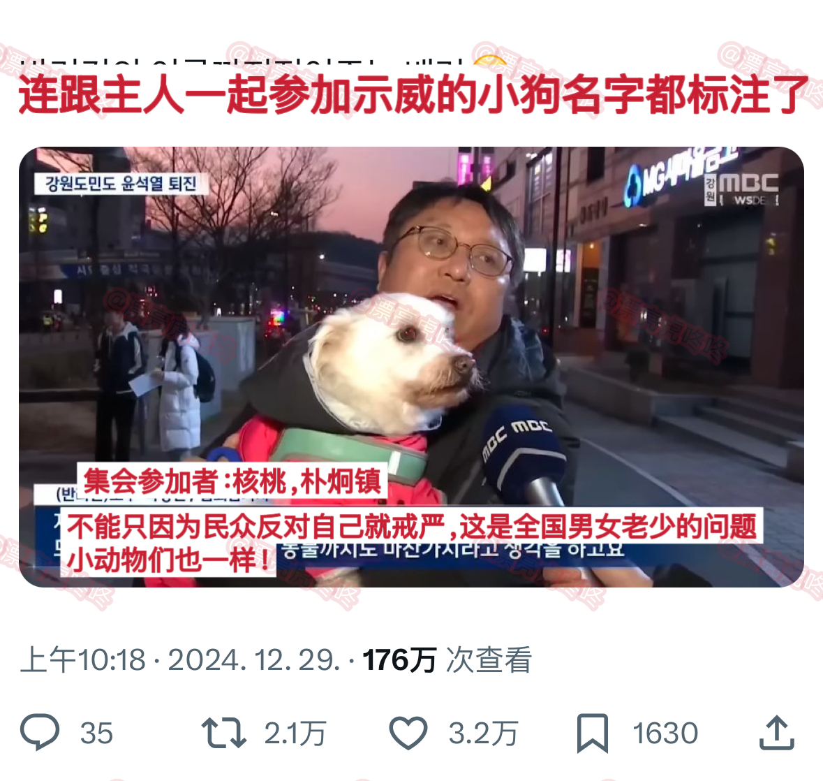 【twi】推热转，ㅋㅋ连跟主人一起参加示威的小狗名字都标注了 