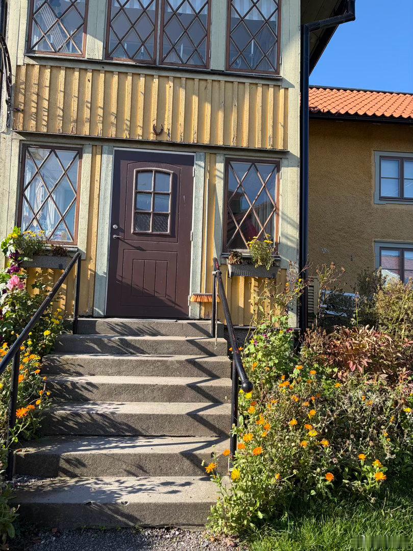 出门前，我说我想住在红果里不想出门此时此刻我想在住在🇸🇪看红果。幸福加倍， 