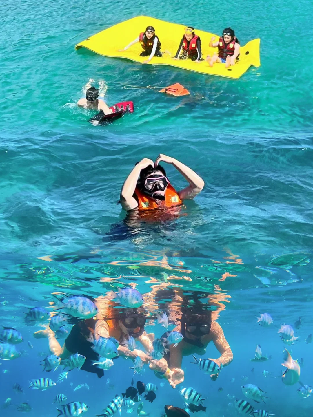 越南芽庄出海🐠海钓浮潜太夯了‼️（攻略