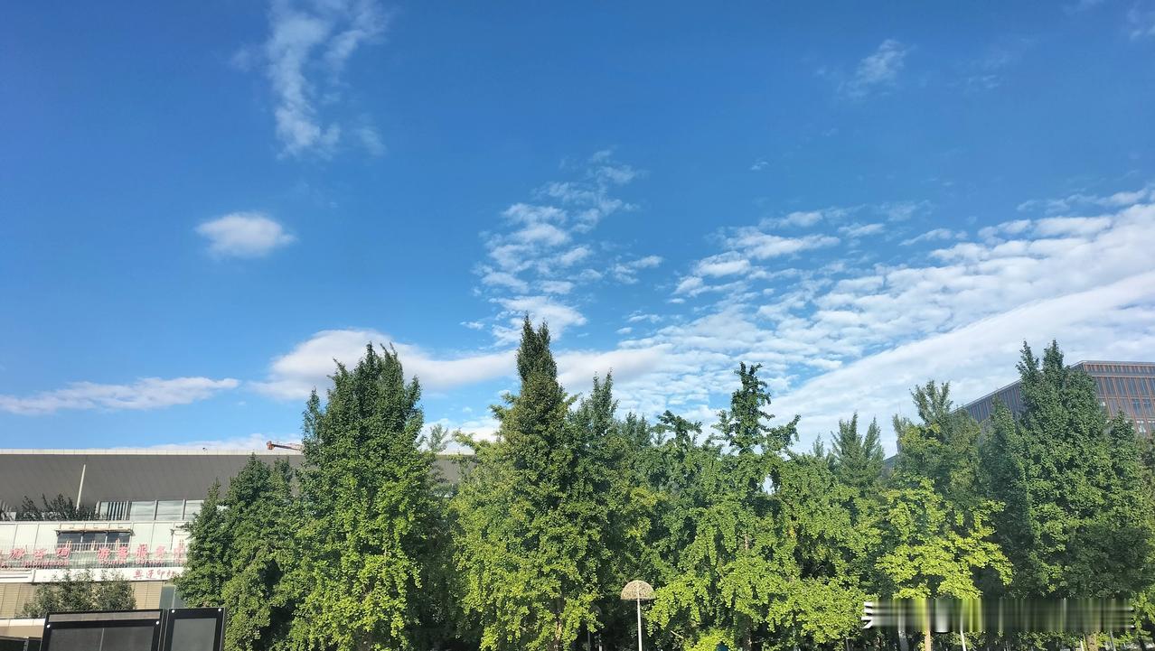 可能的话，出去散散步，晒晒太阳，逛逛公园，看看风景，趁着假期，好好放松放松，毕竟