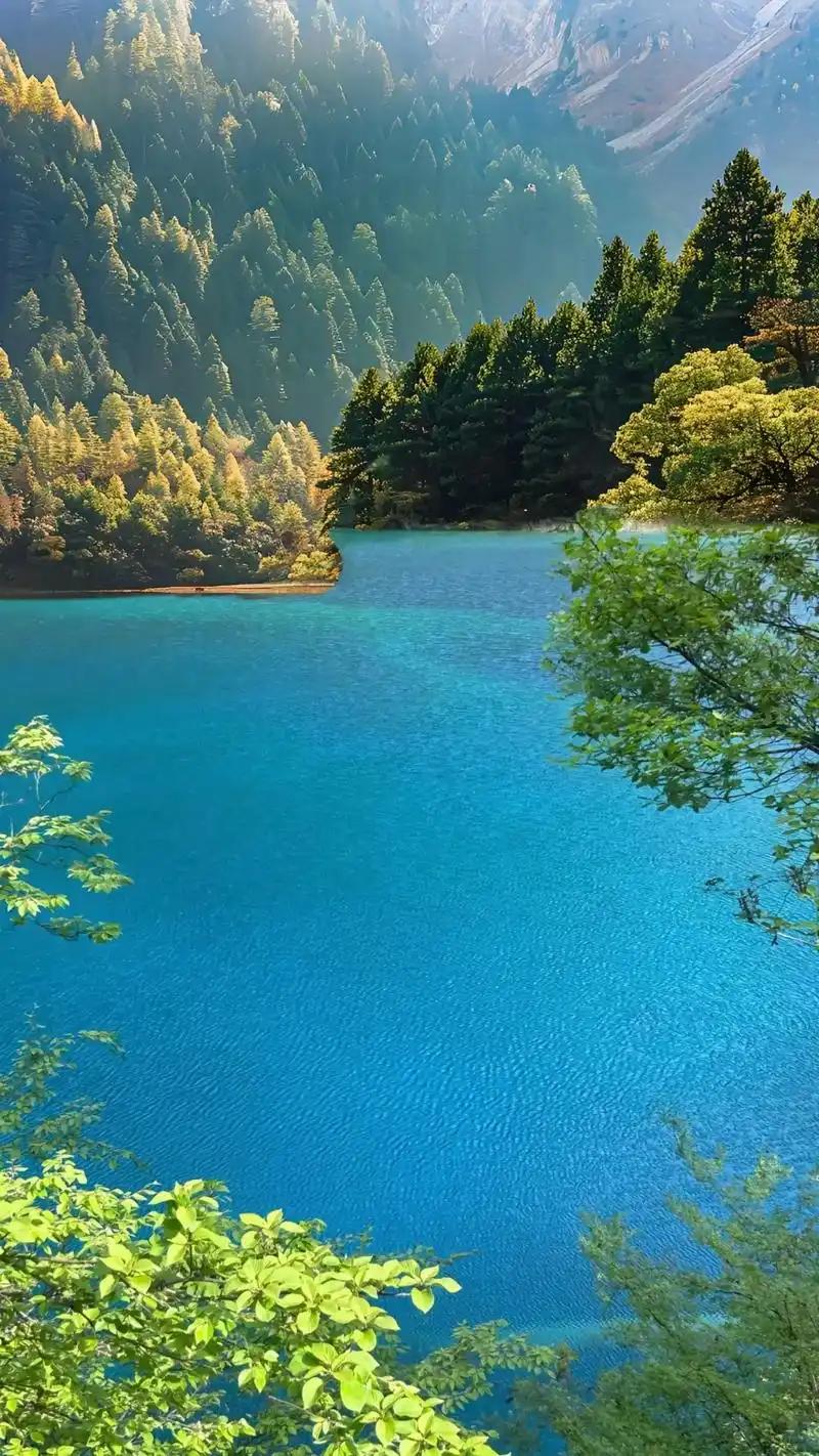 高手平静如水，低手惊涛骇浪：人生格局，藏在情绪里
 
人生里最扎心的差距，从来不