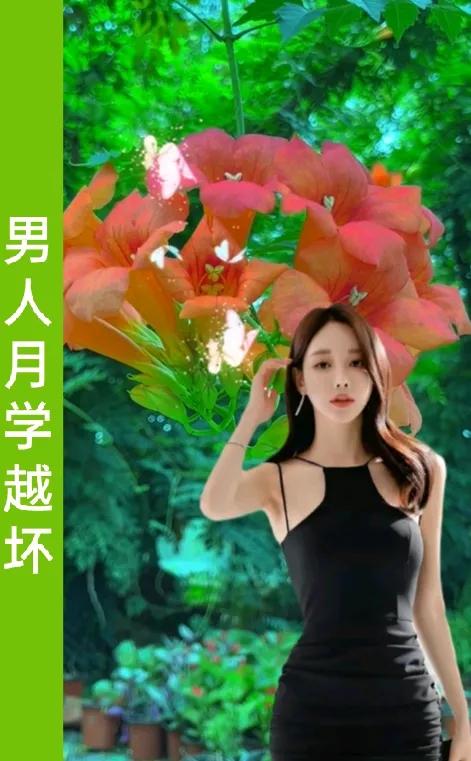 男人越学越坏
女人越爱越深

男人没有一点坏
怎么吸引女人心

男人没有不变坏