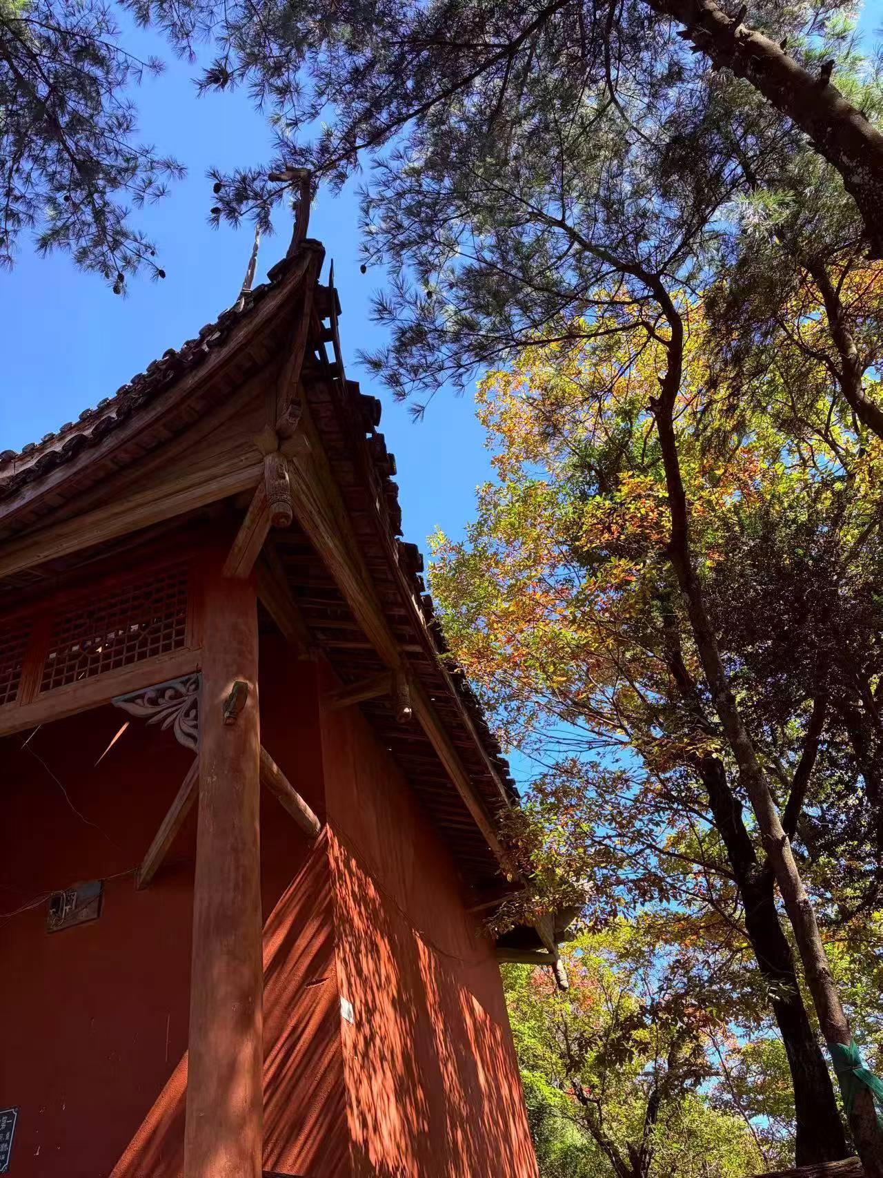 晒图笔记大赛10月12日，四川广元。徒步天曌山大环线，原始森林，空气超清新。爬山