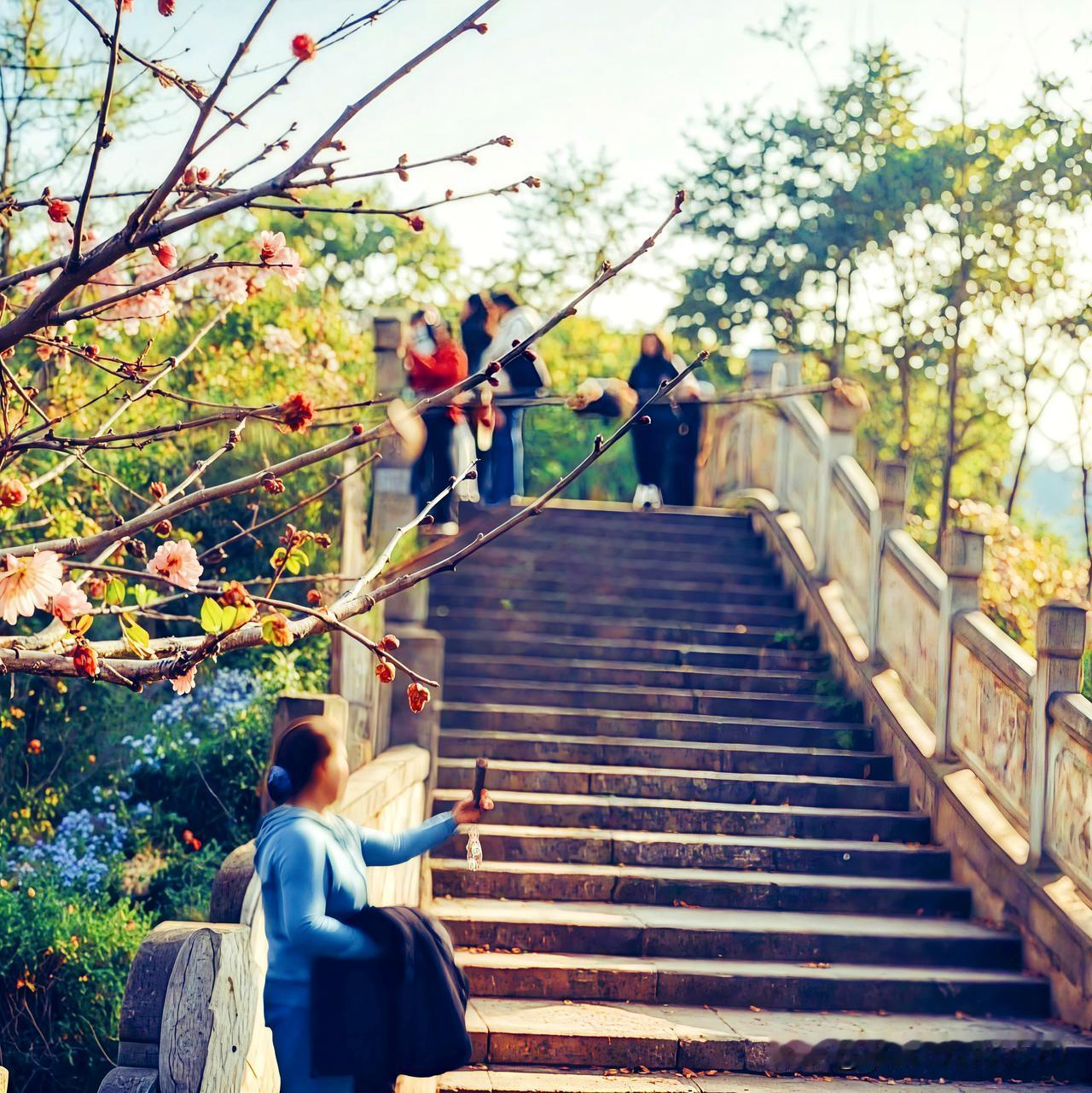 阳光洒满的石阶，那场景别提多治愈了。有次我去一座古寺，阳光透过树叶缝隙洒在石阶上