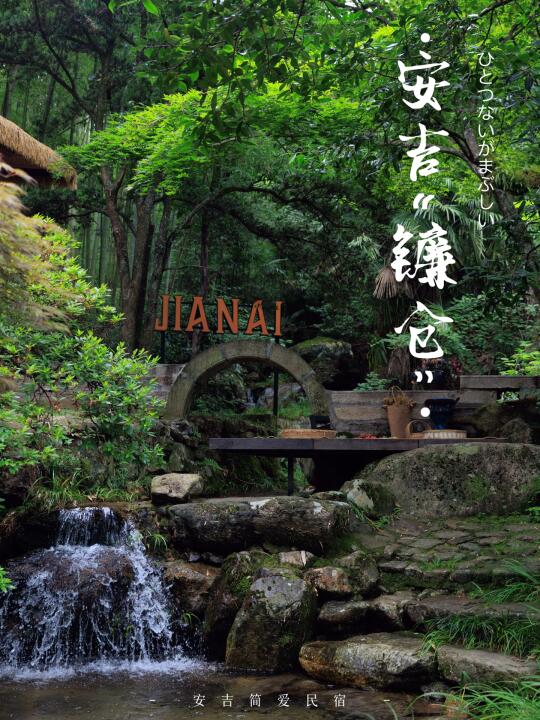 安吉“镰仓🧺”好像住进了《海街日记》里的家