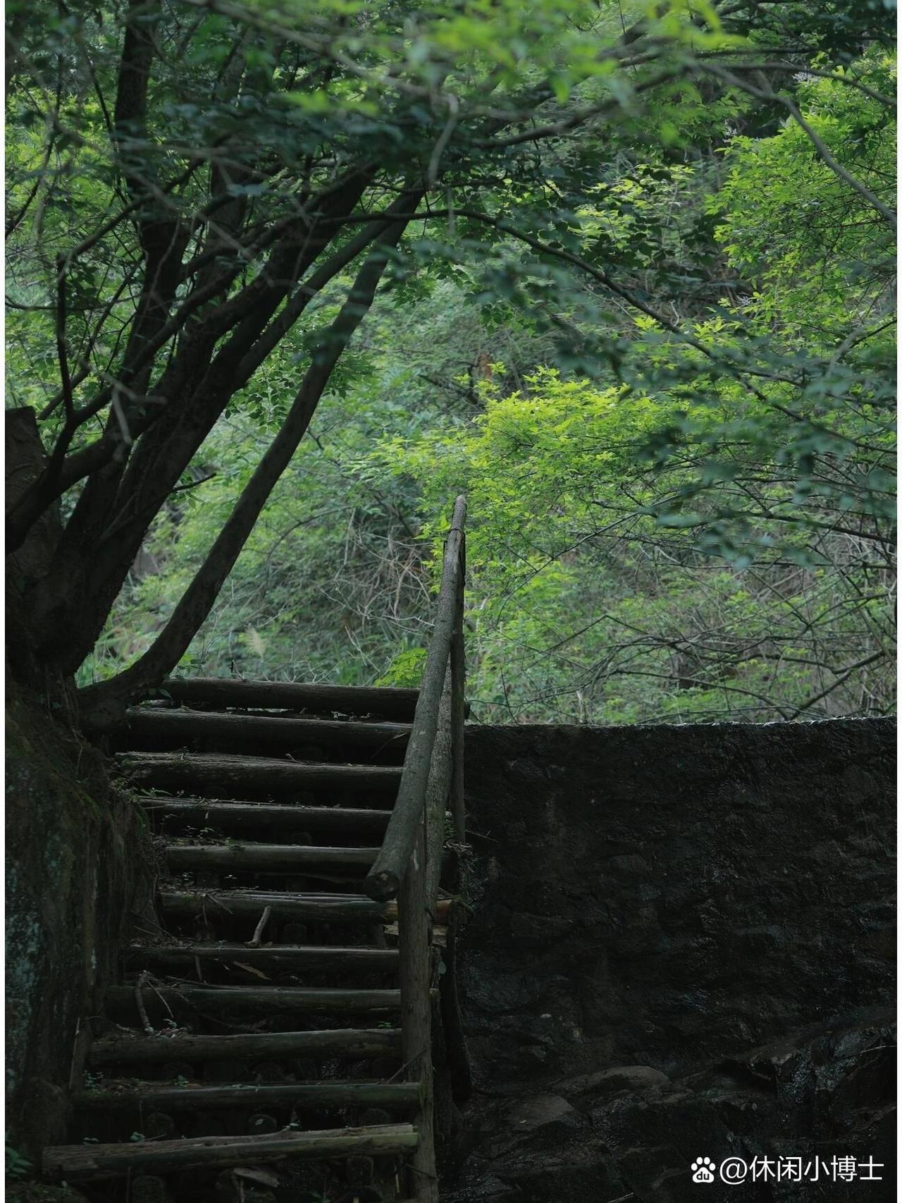鄂州市举人沟风景区一日游攻略

🌿藏在鄂州的宝藏小众景区！避开人挤人，承包整片