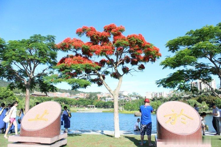 阿里CEO称3年内不太可能出现AI泡沫阿里巴巴CEO吴泳铭表示＿未来三年内不太可