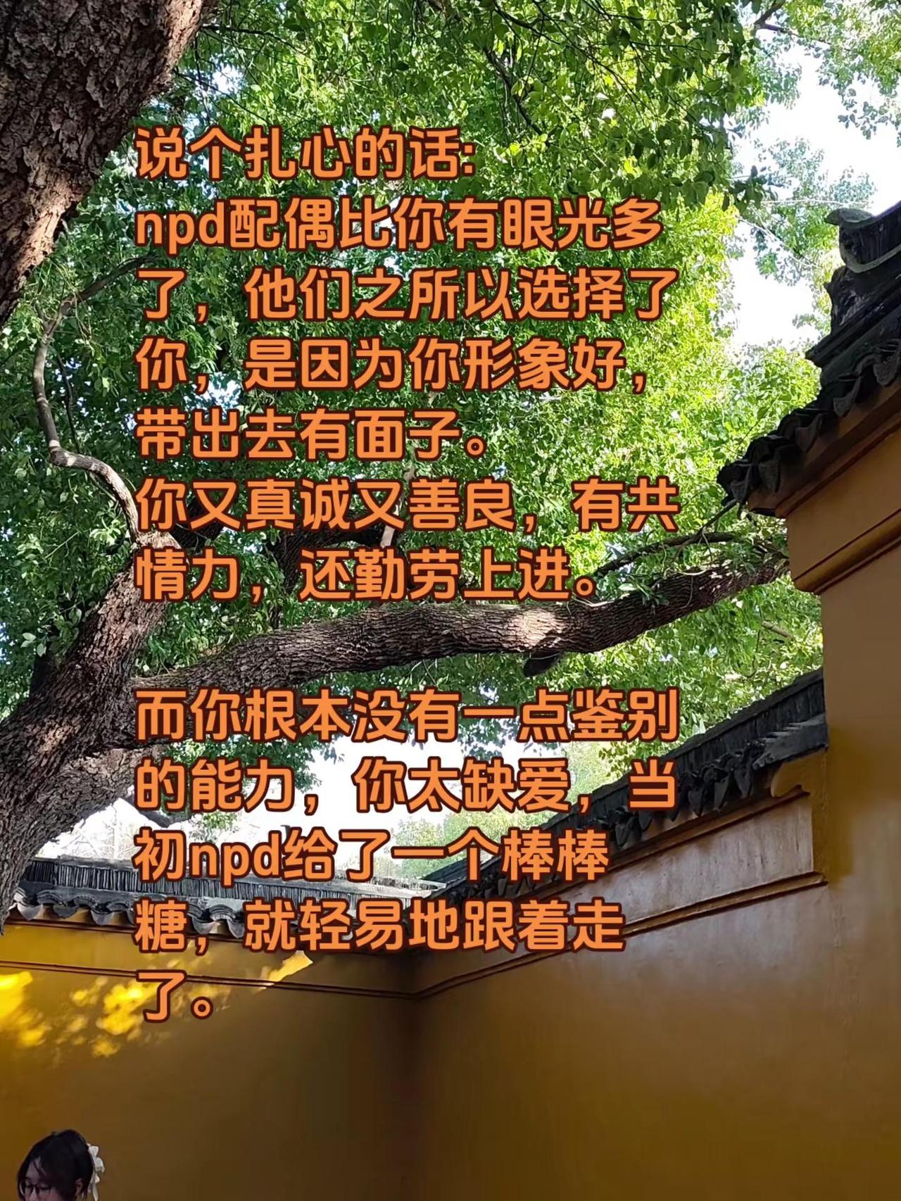 说个扎心的话:npd配偶比你有眼光多了，他们之所以选择了你，是因为你形象好，带出