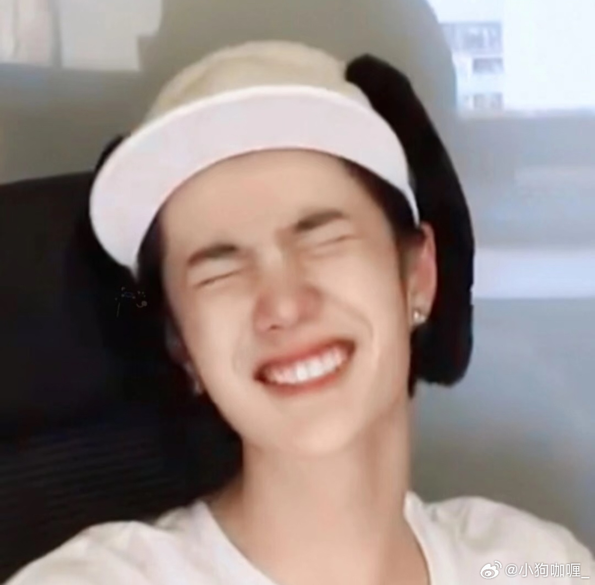 博君一肖  是小狗呀～ 