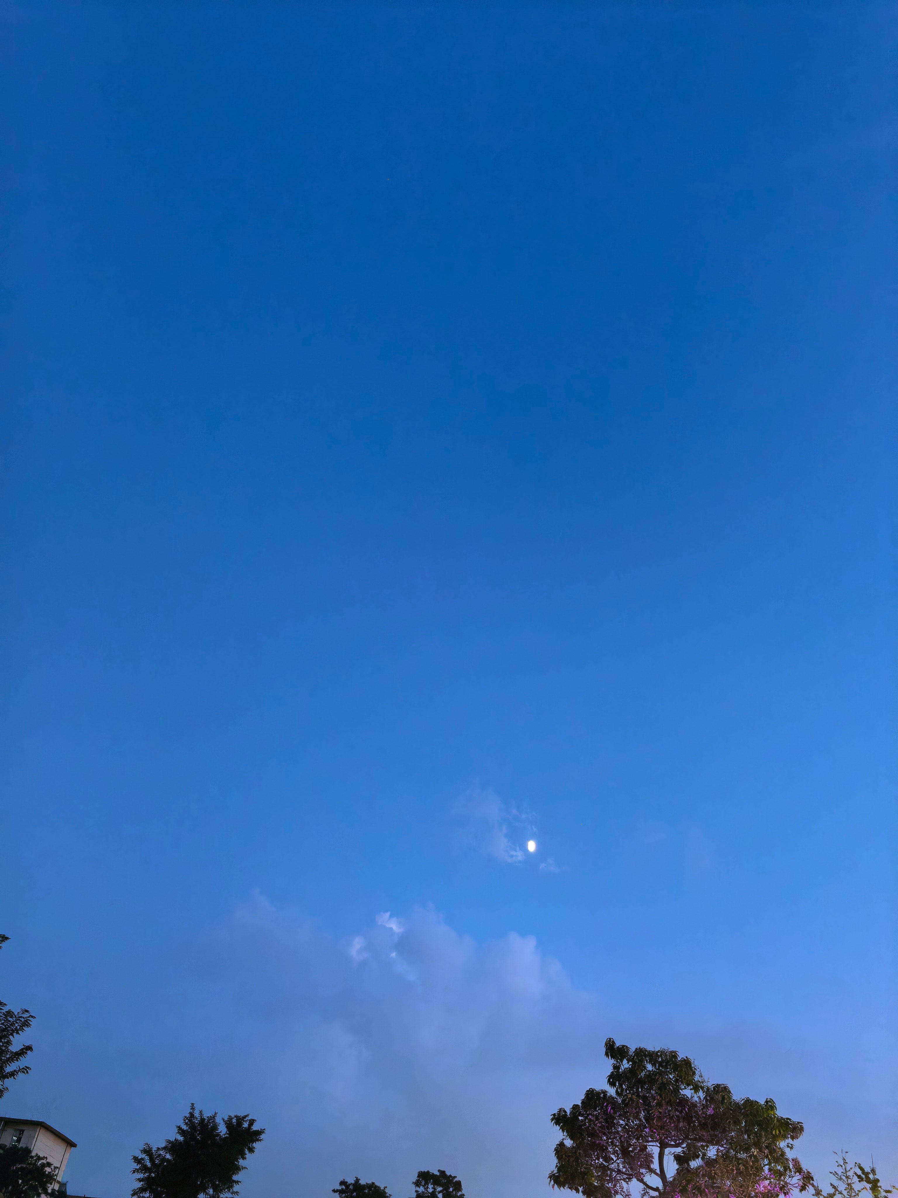 吹吹风，拍拍天，出来走走 