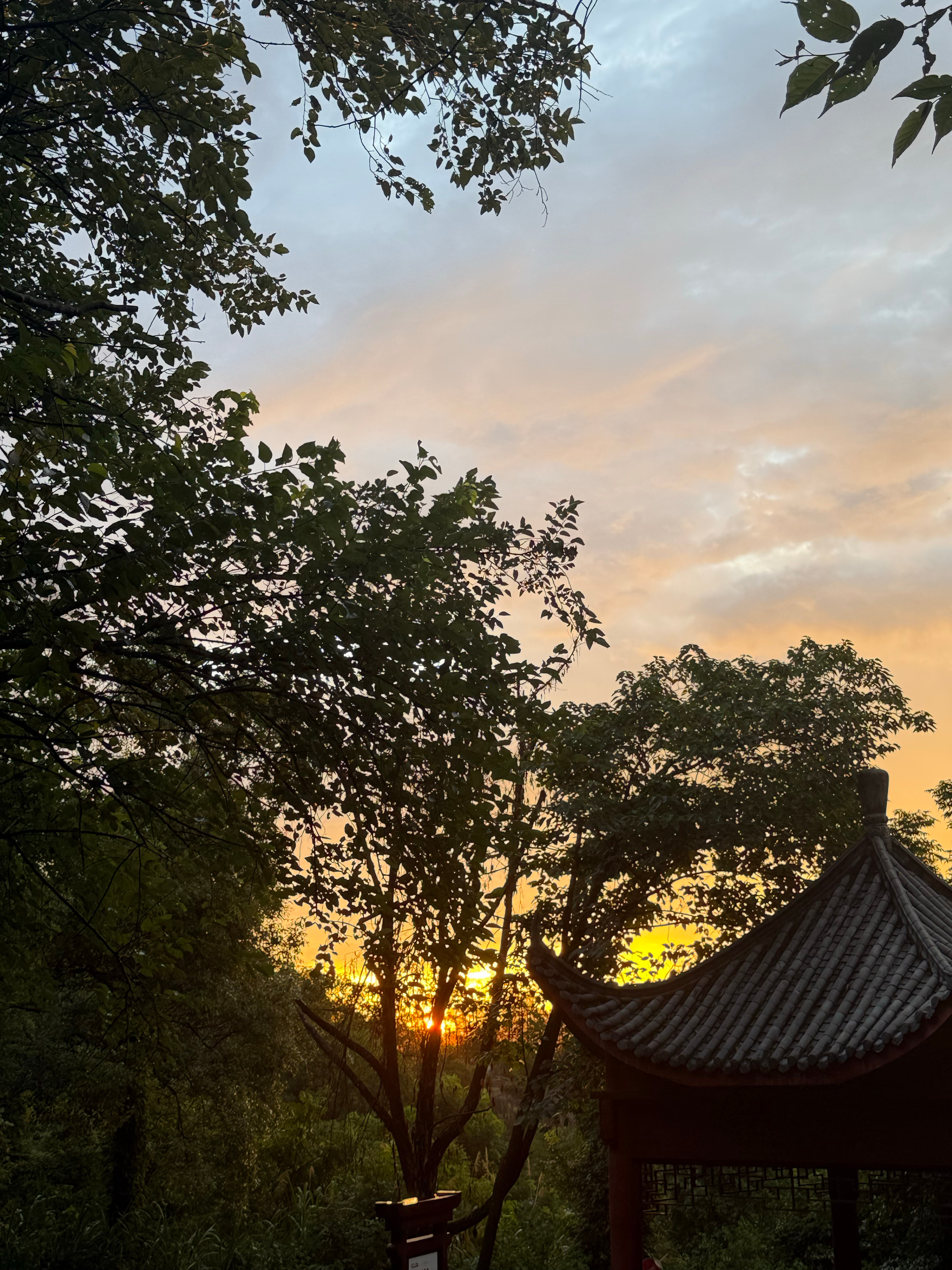 刚下过一场阵雨🌦️， 带娃出来爬山，看到了落日的余晖。 