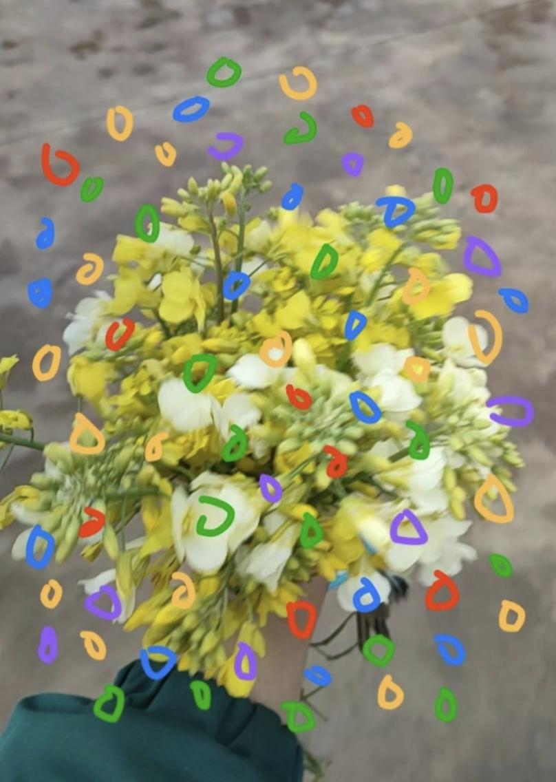 见面吧，花又开了💐。