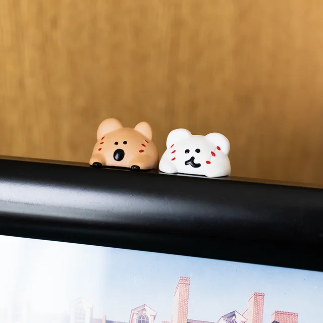 📝谁家小熊🐻这么可爱呀！