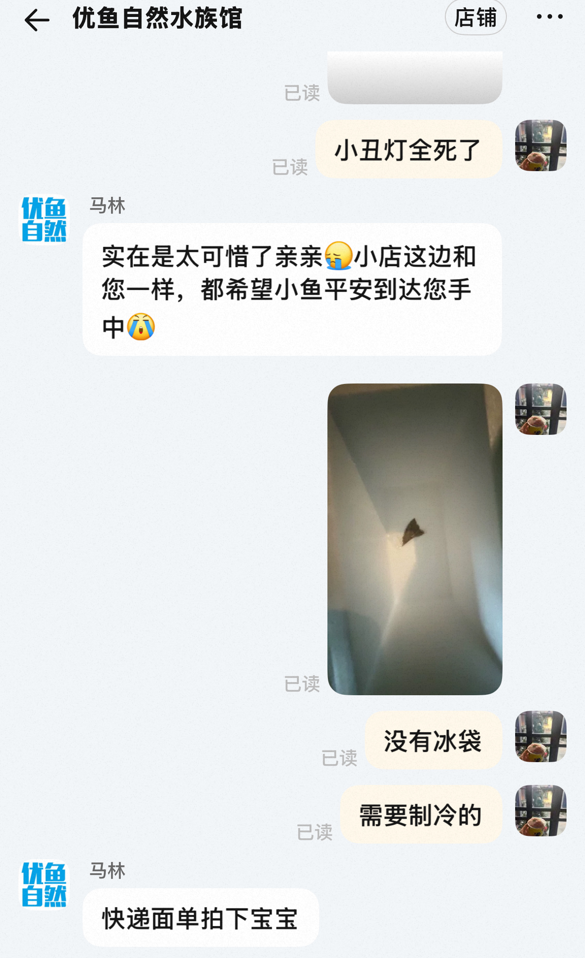 就这样屡战屡败屡败屡败屡败 ​​​