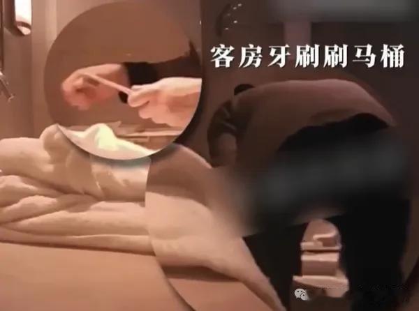微博知名博主 成都通报全季酒店、维也纳酒店存卫生问题：已对两家酒店作出警告并罚款