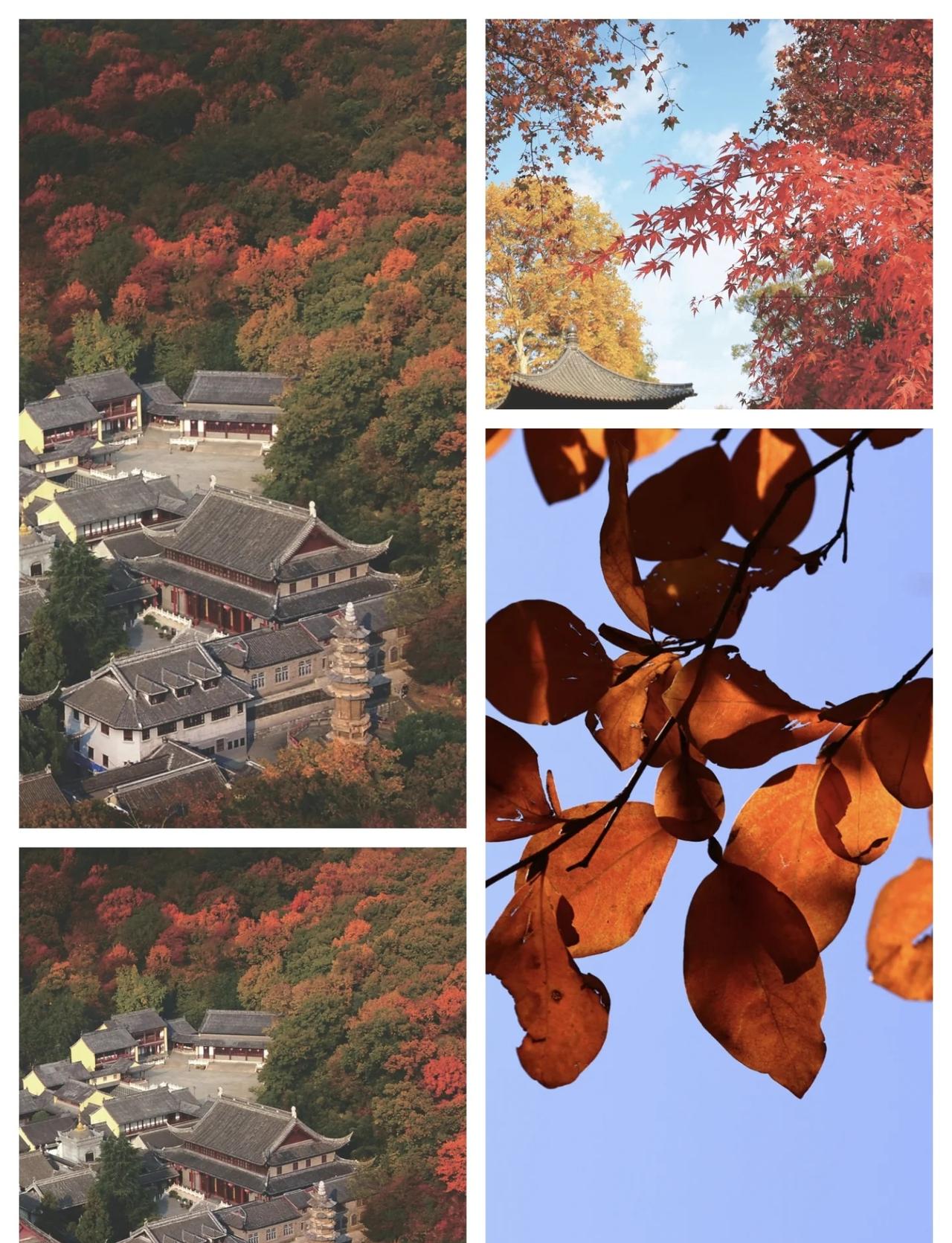 把压力丢进枫林，满载快乐回家！💫
工作压力大？来栖霞山尽情释放！在天开岩大声喊