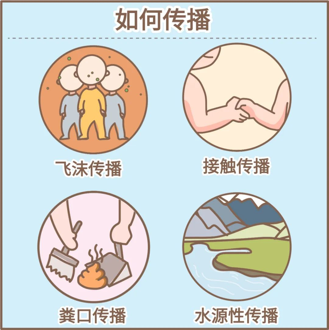 腺病毒传染性强，各年龄段人群均易感染。但最多见的是5岁以下儿童，其中6个月-2岁