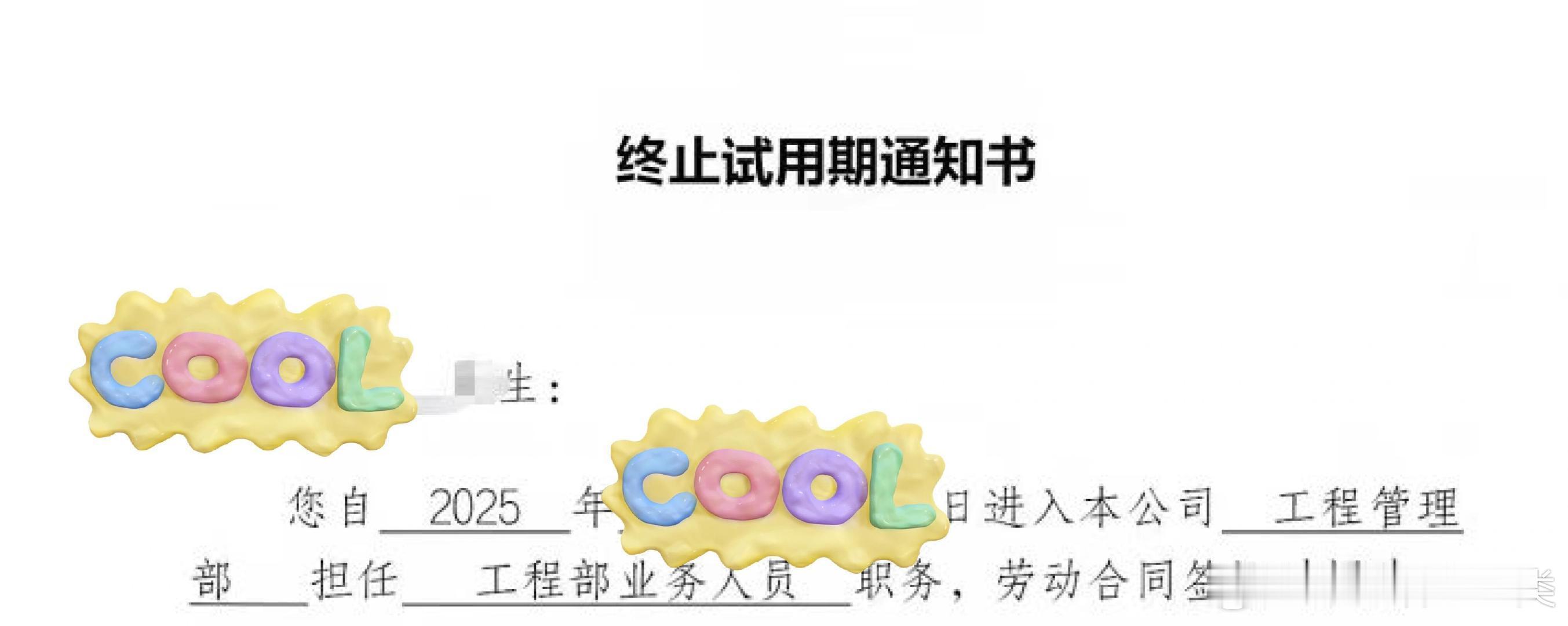 试用期未通过，被辞退。 