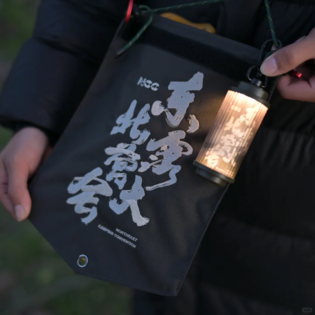 为了东北操碎了心