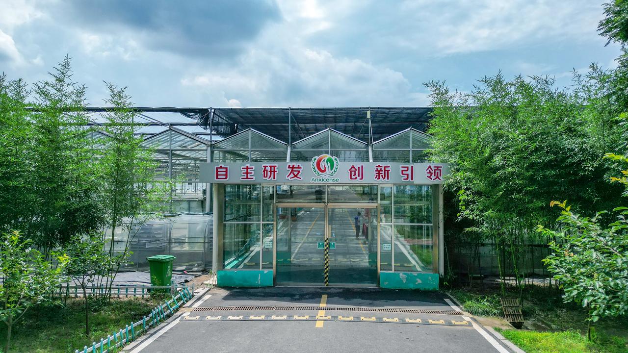 济南数字乡村新绘卷在传统印象中，农业是“面朝黄土背朝天”的劳作，但今天的济阳农业