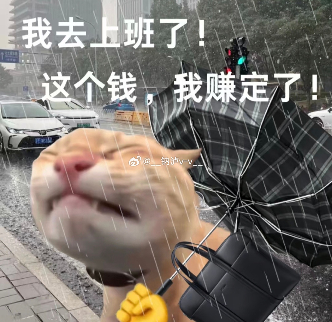 为啥还在下雨？已经不间断下两天了！！给牛马上班的路上再次制造阻碍！！！ 