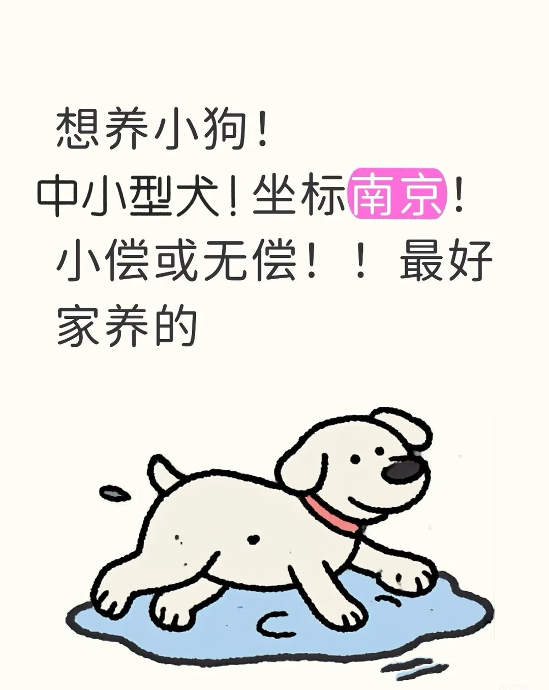 想领养一只新生不久的中小型犬～
