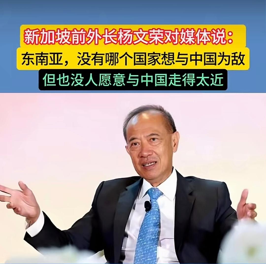 “东南亚没有哪个国家会与中国为敌，但也没人愿意和中国走得太近”。新加坡前外长杨文