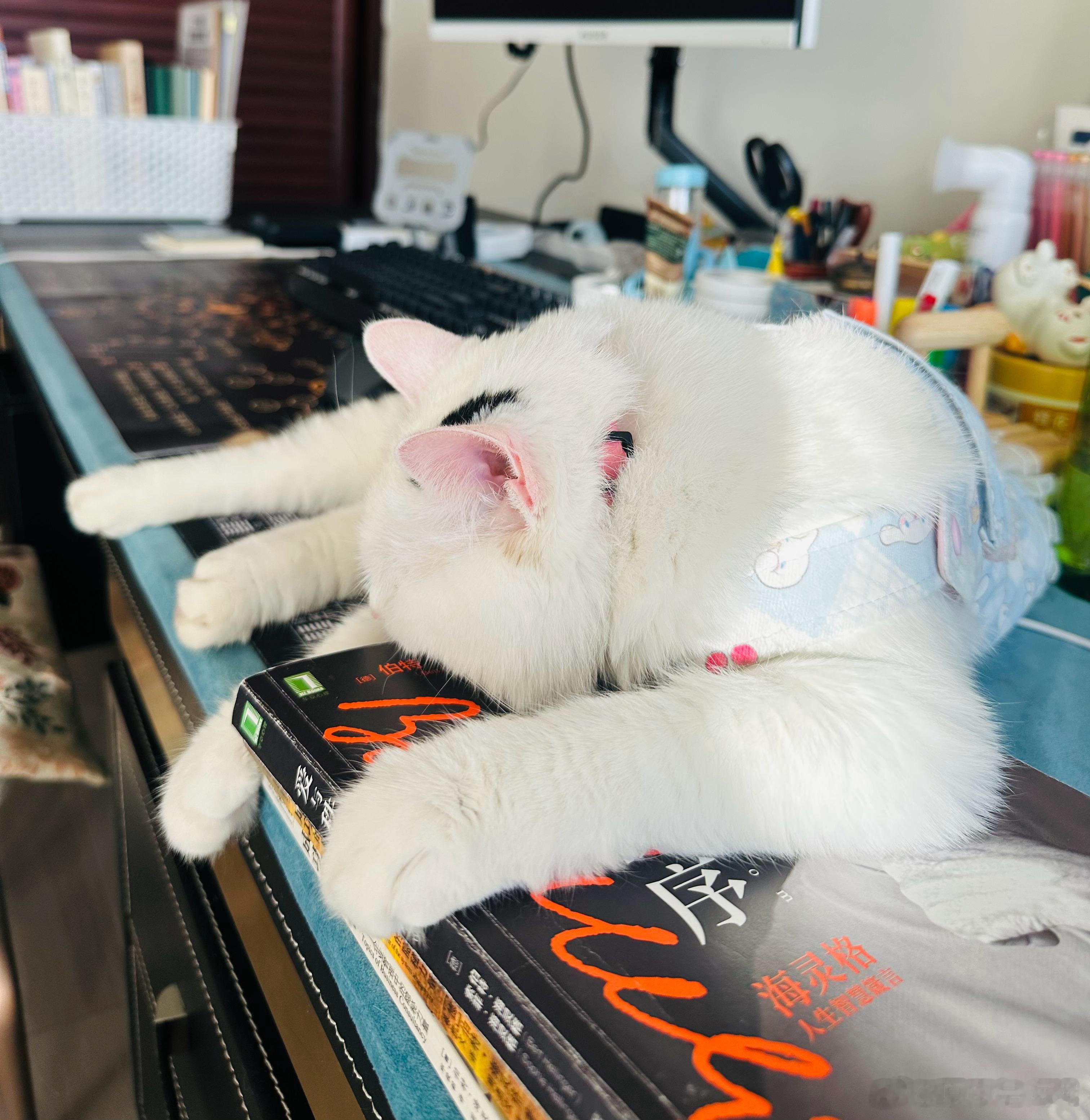 《送别》——李叔同长亭外，古道边，芳草碧连天。晚风拂柳笛声残，夕阳山外山。天之涯