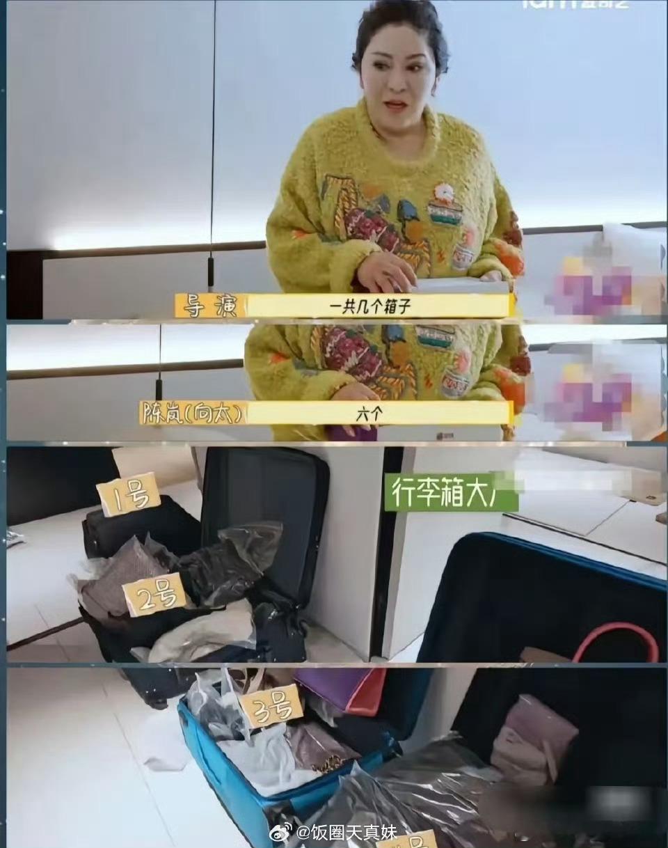 向太第一期不敢说话的原因 向太第一期带了6个行李箱，本来预算有限的小团队超支多付